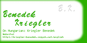 benedek kriegler business card